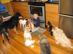 Toddlers And Tails......